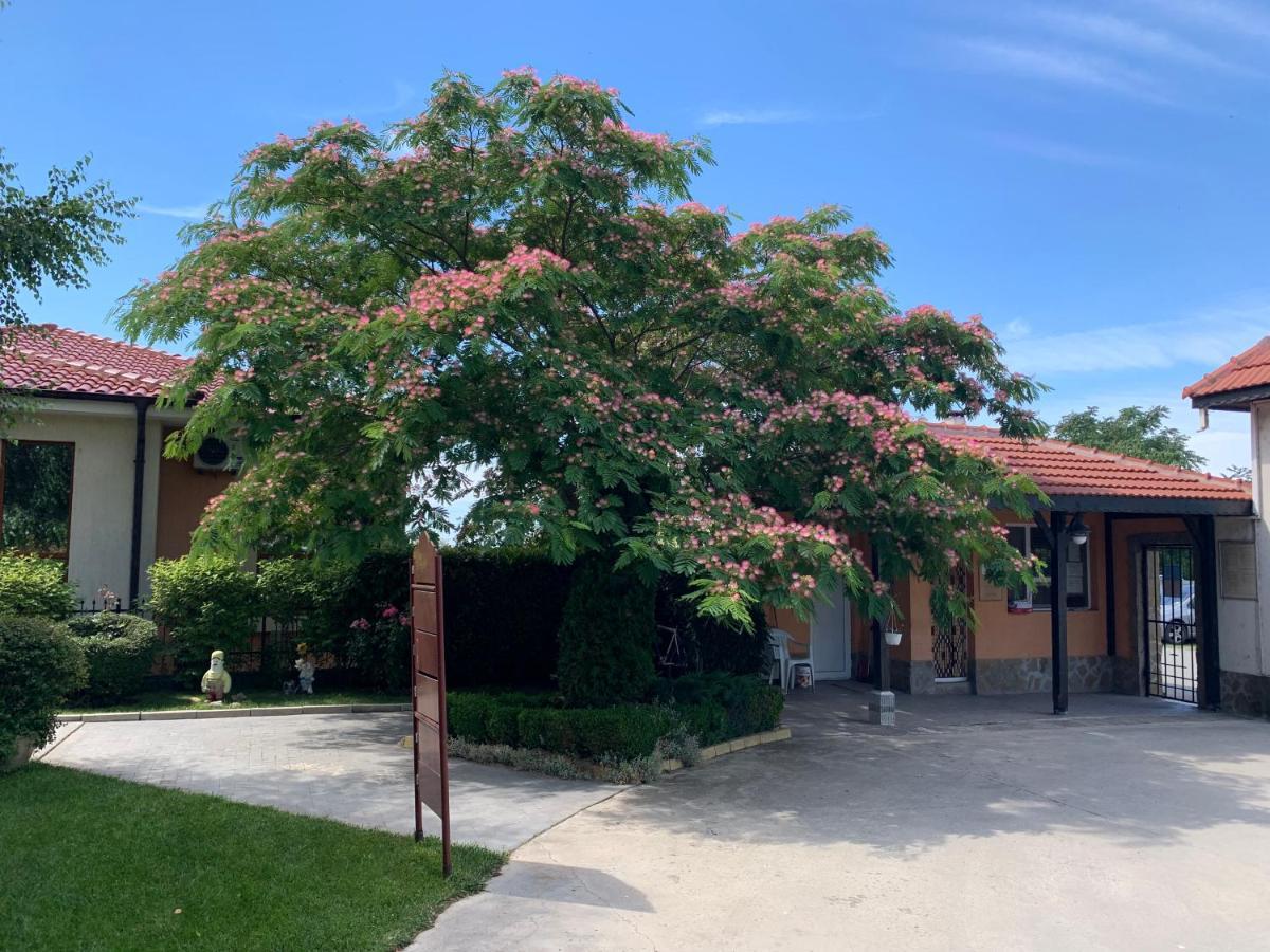 Apartcomplex Chateau Aheloy Εξωτερικό φωτογραφία